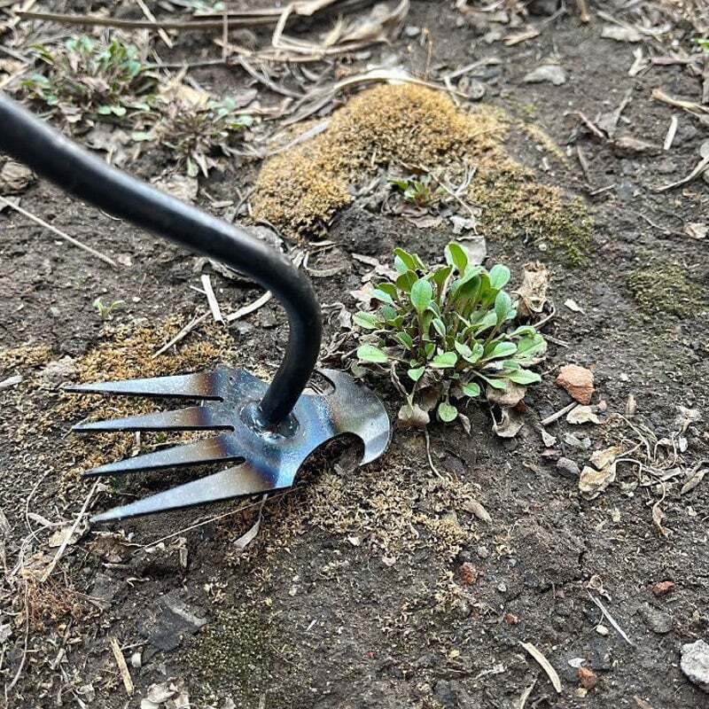 Your Ultimate Weeding Tool